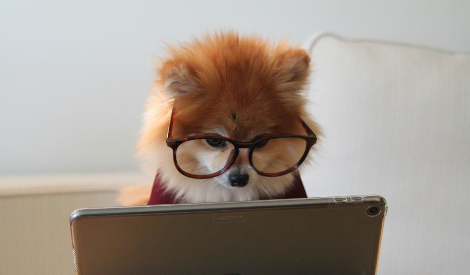 How to Add Custom Branding to Your 360 Photo and Virtual Tours