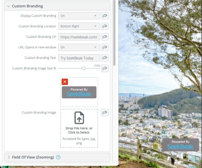 Custom Branding In SeekBeak