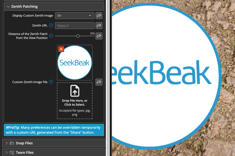 Dynamic Zenith and Nadir Patches