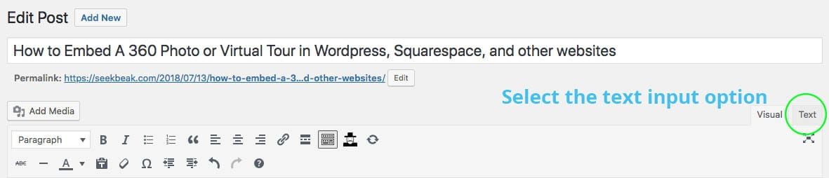 Screenshot of a SeekBeak Virtual Experience in Wordpress
