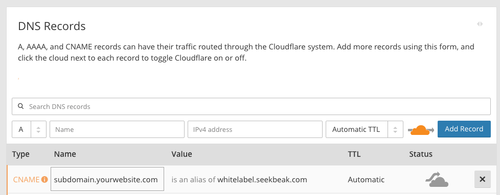 A sample DNS record for cloudfare