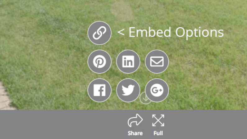 Embedding Icon Options